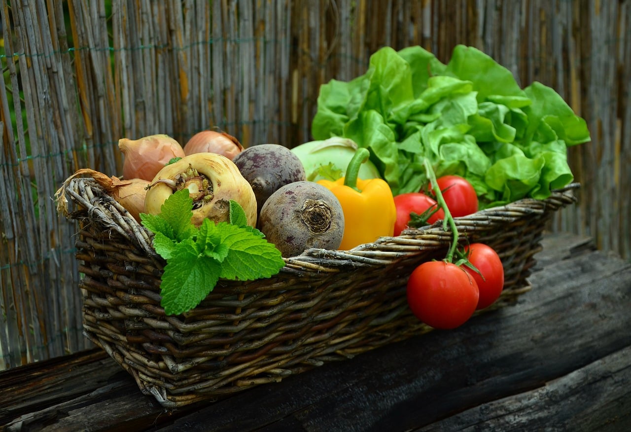 Voici la liste des légumes d'hiver que vous pouvez encore planter en octobre au jardin