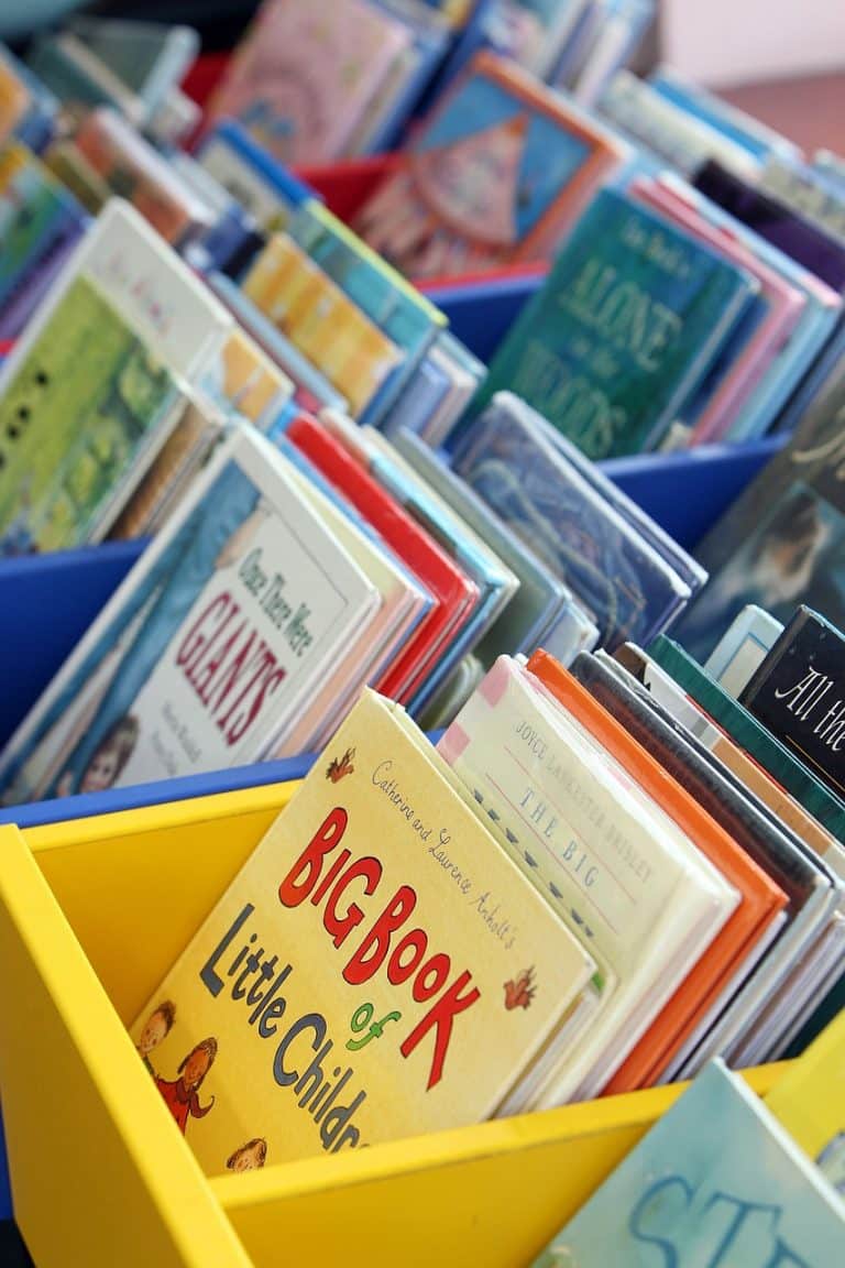 Livre pour enfant de 6 ans : idées de lecture et recommandations